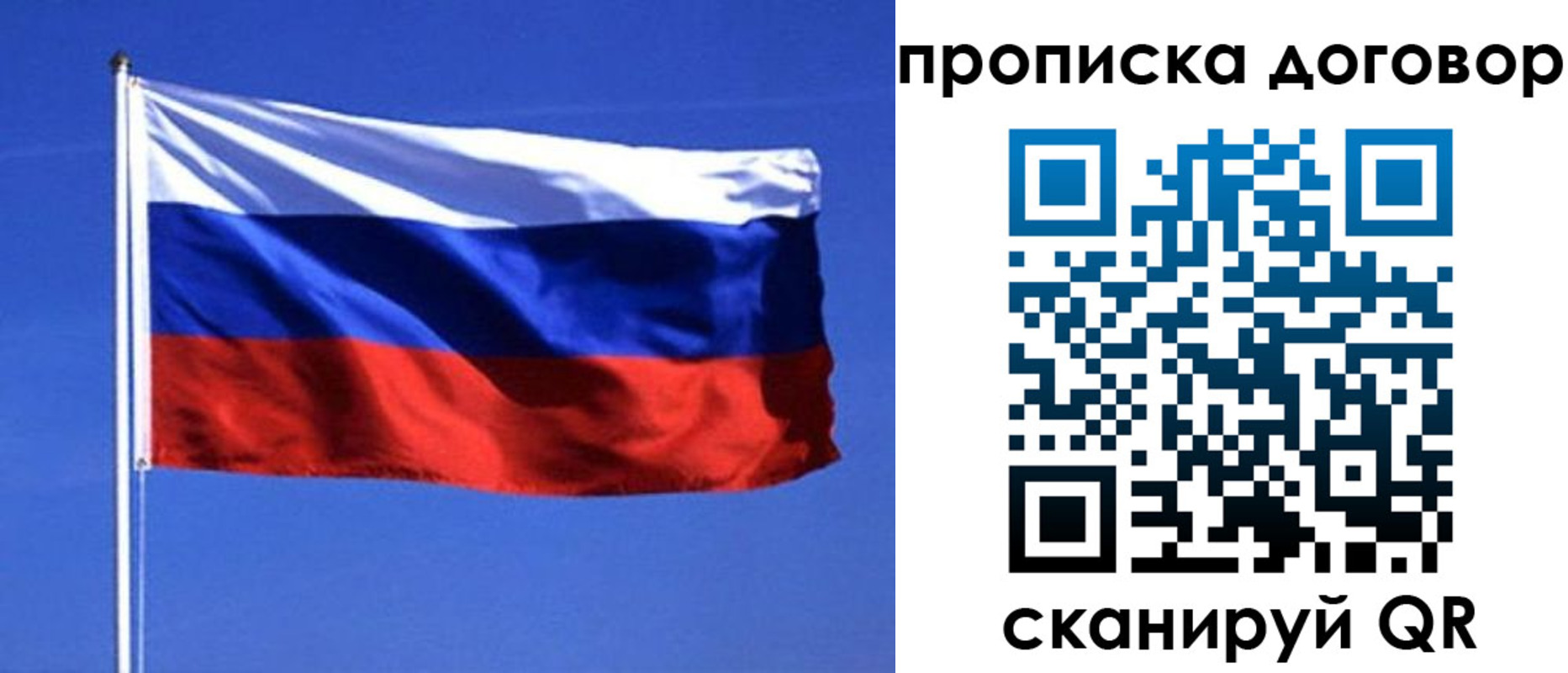 прописка поиск в Химках
